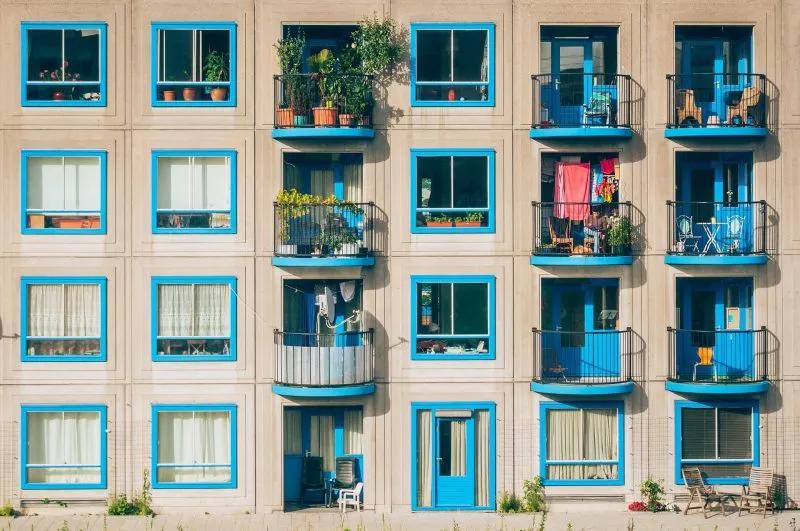 Jakie kwiaty wybrać na balkon?